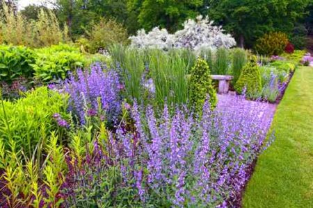 Educational Benefits of a School Garden Image
